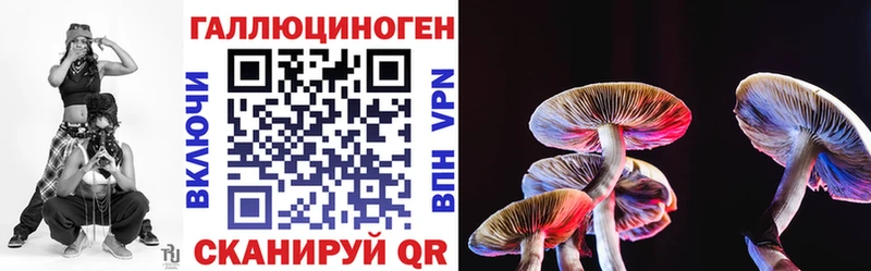 Псилоцибиновые грибы Psilocybine cubensis  кракен зеркало  Новоалександровск 