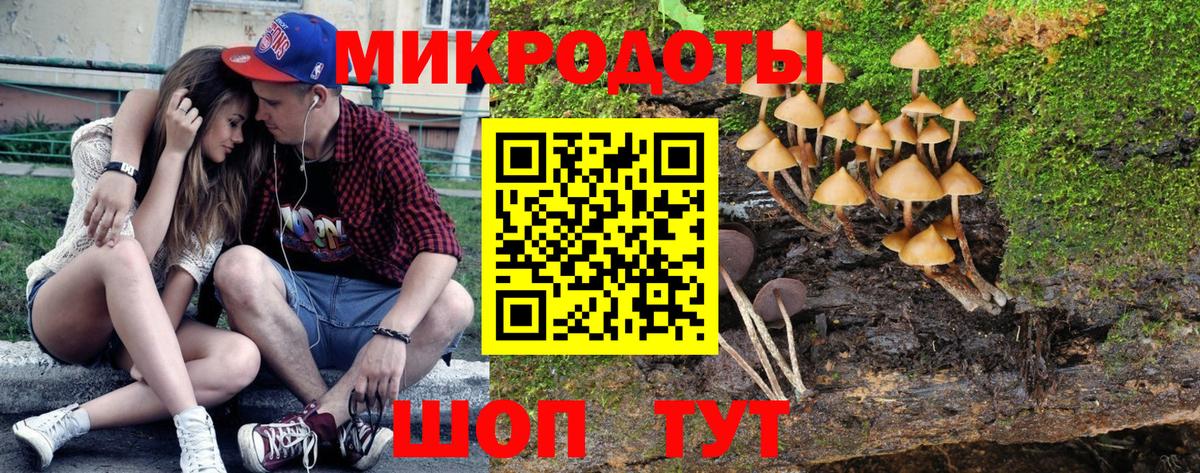 Новоалександровск  Псилоцибиновые грибы мицелий  Галлюциногенные грибы Psilocybe  Вход с VPN 