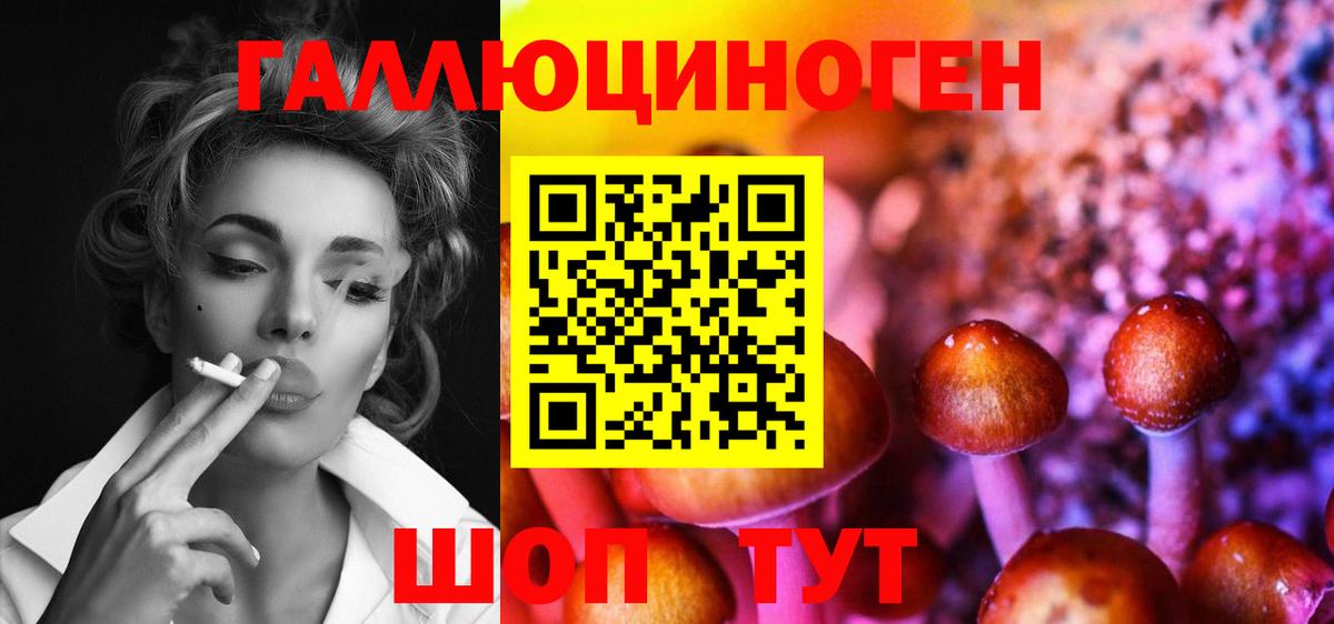 Псилоцибиновые грибы GOLDEN TEACHER Новоалександровск