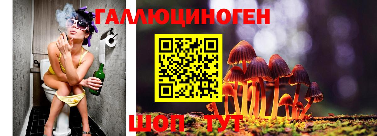 Мефедрон   ТГК  Новоалександровск  Гашиш  ГАШИШ  Вход с VPN 