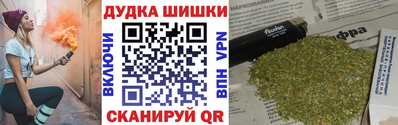 где купить наркоту  Новоалександровск  Канабис тримм 